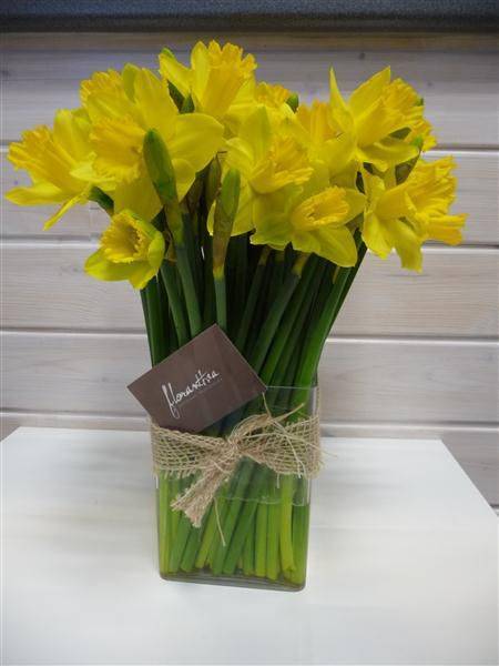 fleurs jaunes