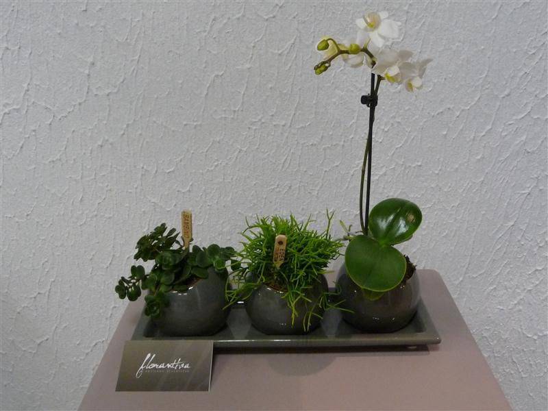 deco pour interieur