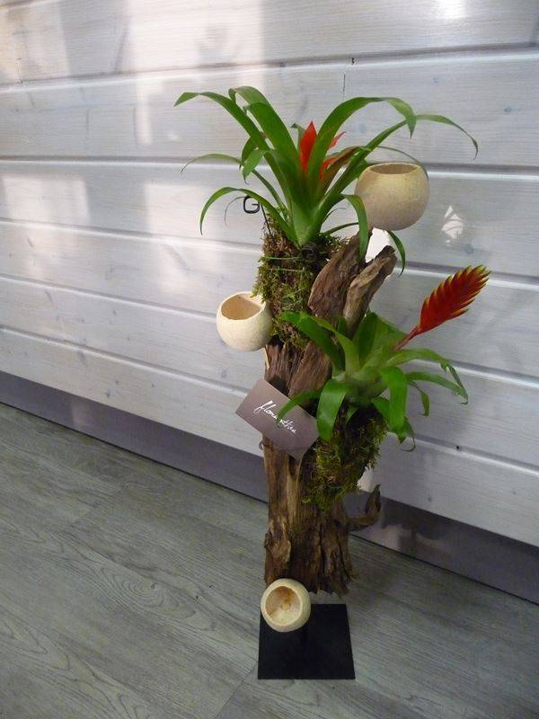 deco sur tronc