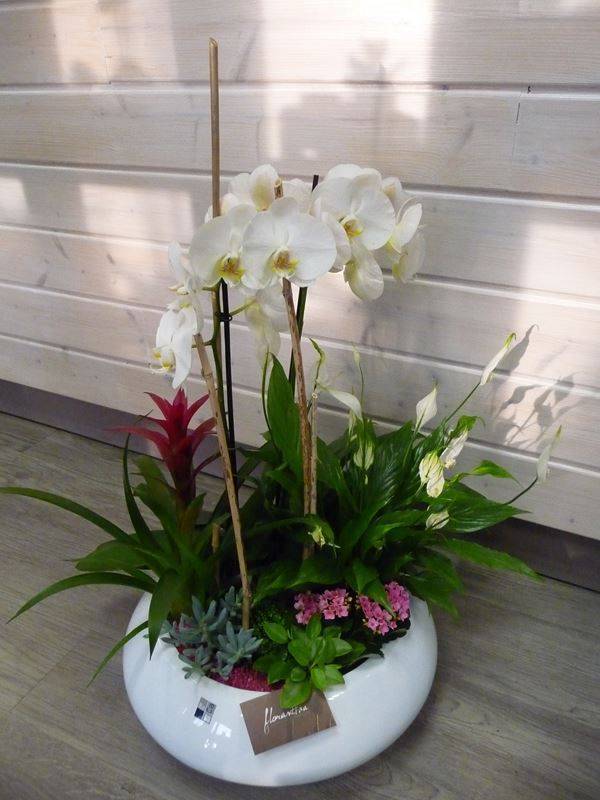 grand pot