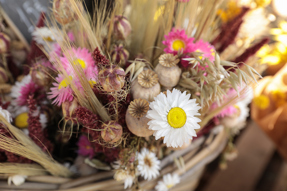 Fleurs séchées près de Fumel